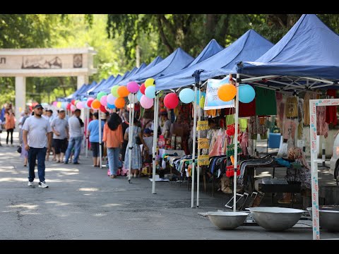 Video: Жеке ишкердин ыйгарым укуктуу кол коюучулары болушу мүмкүнбү?