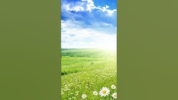نبض القرآن/الشيخ عبدالرحمن مسعد #ارح_قلبك #قران_كريم #تلاوة_مميزة #راحة_نفسية #سورة_يونس