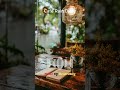 Cafe Rain Diary 🌧️ 봄비 카페 플레이리스트