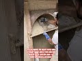 How to Plaster a Perfect Arch 🏗️