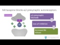 Mirtazapine from mechanism to clinical applications