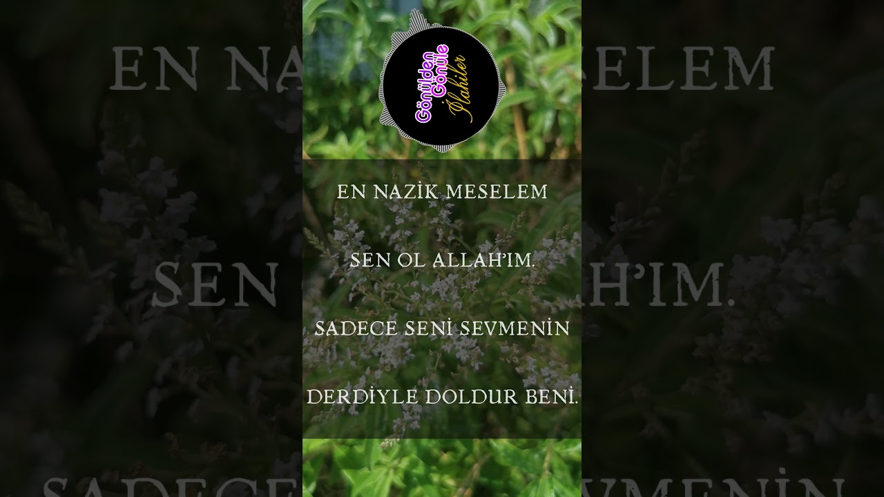 Hayırlı Cumalar Cuma Sabahına Gelin Muhteşem Bir İlahi İle Başlıyalım #ilahi #ilahiler #shorts