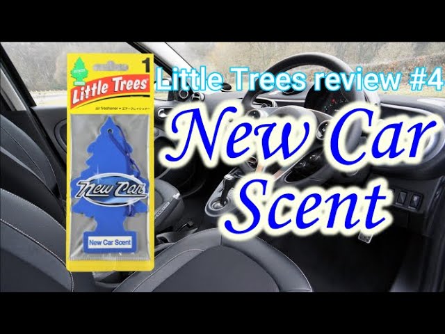 Meguiars Air Freshener Bomb Worth It?! 