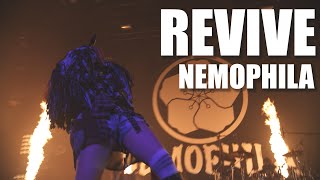NEMOPHILA / REVIVE [Official Live Video]