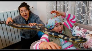 - Snake Attacked Asleep Prank - Uyurken Yilan Saldirdi Prank