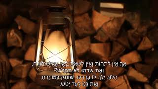 Video voorbeeld van "שיר עד - כל אחד - מילים: אברהם בן-זאב | לחן: דוד זהבי | ביצוע: דפנה זהבי, 1977 - Dafna Zahavi"