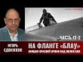 Игорь Сдвижков. На фланге &quot;Блау&quot;. Авиация Красной армии над полем сражения. Часть 12-2