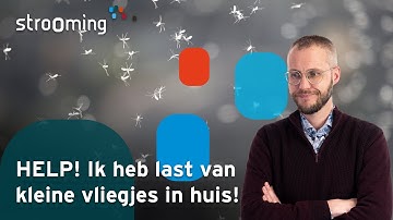 HELP! Overlast Door Kleine Vliegjes!