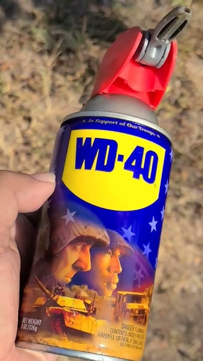Does wd40 work to kill wasp? #gardening #wasp #wd40 #pestcontrol - YouTube