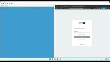 VMware Workspace ONE Access - shouldEnforceStrictHints