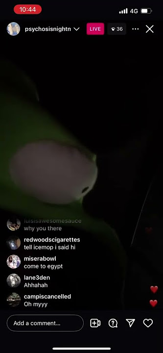wifiskeleton alt acc may 4th 2025 instagram live