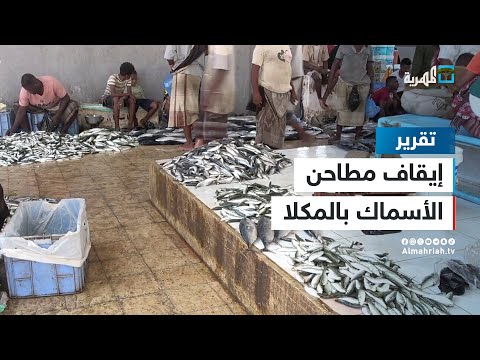 إيقاف مطاحن الأسماك في المكلا لصالح من