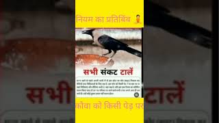 सभी संकट  टालें️#video #motivation #motivational #viralvideo #entretenimiento #fact