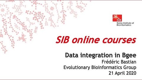 Data integration in Bgee