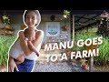 Manu’s first out of town trip | Overnight at The Happy Nest Farm