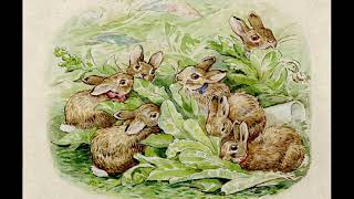 [Relaxing playlist with rain sounds] 🌧The Tale of Peter Rabbit soundtrack //Beatrix Potter 🐇 📖👒