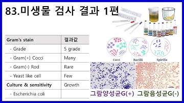 83. 미생물 검사 결과 1편 - gram stain? grade?? S, R, I???