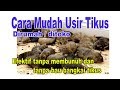 Cara Usir Tikus Ditoko dirumah, mudah , murah, efektif, berhasil