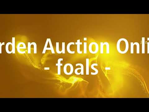 Verden Auction Online - Foals - June 23,  2022