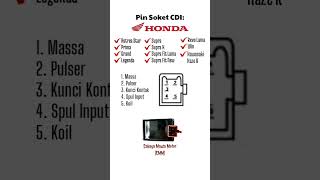 Pin Soket CDI Supra Grand Legenda Supra Fit Revo Old Win Kawasaki Kaze R #kelistrikanmotor #honda