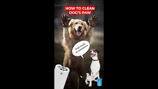 Discover The Best Method For Dog Paw Cleaning