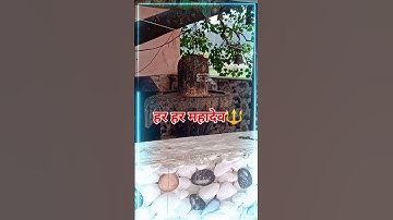 वो देखिए वहाँ बैठे हैं हमारे महादेव🙏