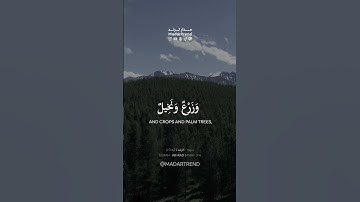 سورة الرعد - إن في ذلك لآيات لقوم يتفكرون - الشيخ عبدالله الموسى - مدار ترند MadarTrend
