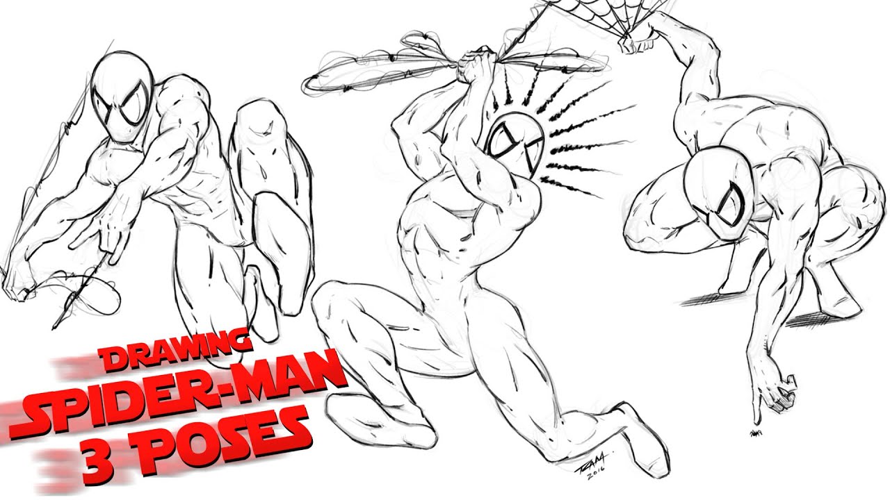 Autumnnorth on Tumblr: A Spider-Man page I was working on the other week.  Was inspired by other many artist's amazing sketch pages, and wanted to  try...