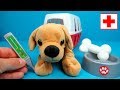 Dierendokter Speelset Medical Ecoiffier | Family Toys Collector