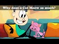 Umsom Video Quiz