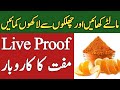 Earn Daily 10000 To Start This High Profit Business Idea ll New Business Ideas In Urdu Hindi 2022