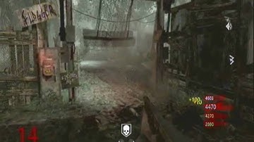 Call of Duty 5 (World at War) Shi No Numa Flogger Trap