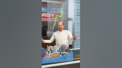 The Rise And Fall Of Beanie Babies 😮