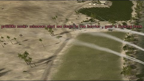 Pilot Sniped l Project Reality