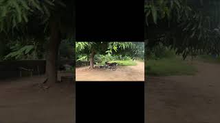 LANDS FOR SALE IN ABEOKUTA, OGUN STATE NIGERIA.