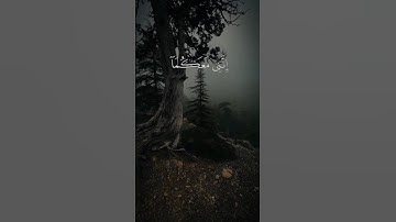 #المصحف #قران_كريم #تلاوة_خاشعة #quran #صوت_يبكي_القلوب #صلوا_على_النبي