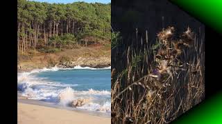 COSTA DE GALICIA