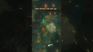That Korok Set Me Up  #totk #zelda