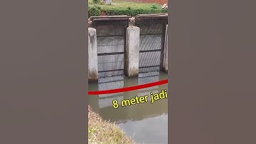 Nuôi cá rô phi bằng thức ăn công nghiệp