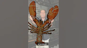 Реальное бессмертие?🫨🦞