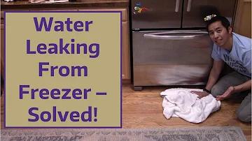 Water Leaking From Freezer – Solved!