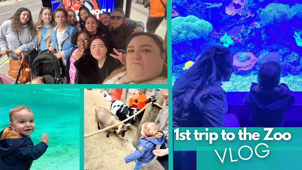 Trip to The London Zoo Vlog baby boy's 1st Zoo Trip YouTube