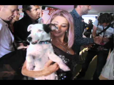 Video: Estrellas De Suspenso Canino De Cuatro Patas Ganan 'Palm Dog' En Cannes