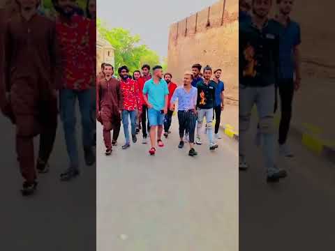 All TikTok Steers Enjoy For Video