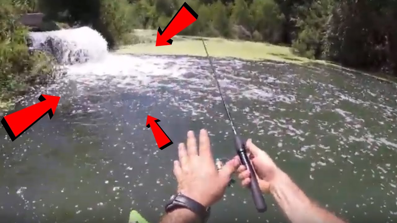 kayak flight This Urban Spillway is Loaded with Fish!!!