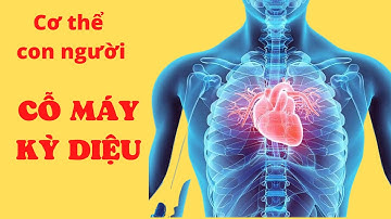 16 điều KỲ DIỆU NHẤT về cơ thể con người