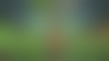 Вормикс:ПИРАТЫ+ТЕЛЕПАТ В СОЛО БЕЗ ОГРАНИЧЕНИЙ!