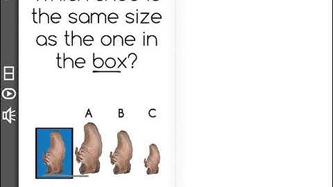[K.MD.2-1.5] Comparing Objects - Common Core Standard