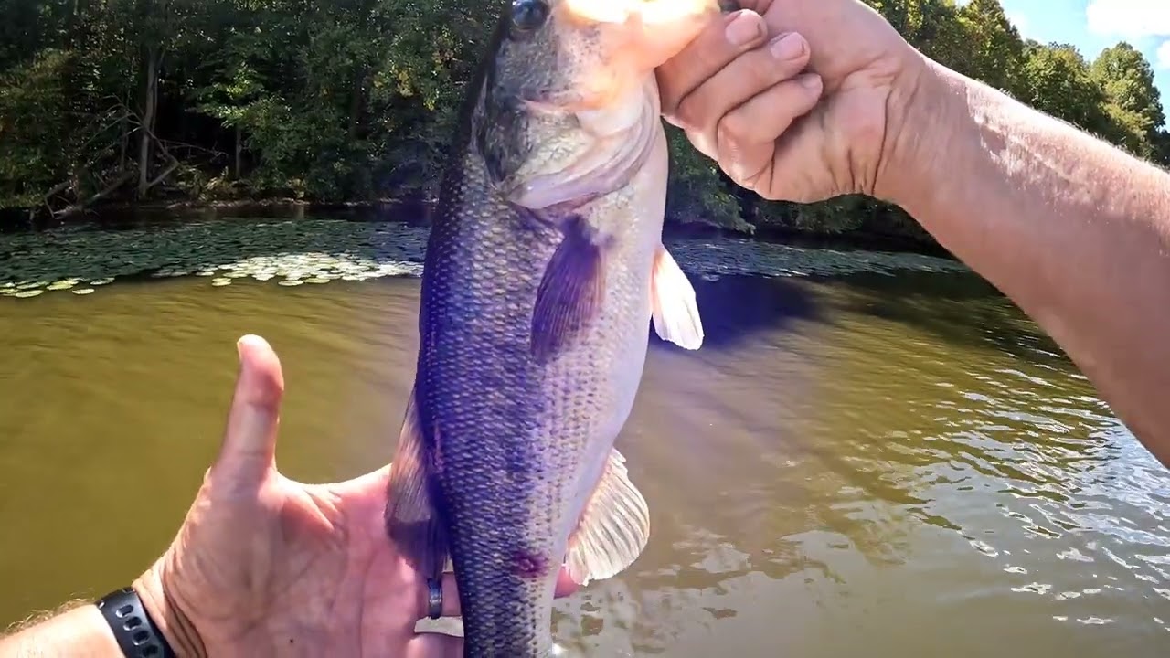 Mid September bass fishing with another BIG girl!  (9/19/24)
