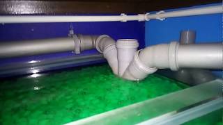 видео: узв для разведения австралийских красноклешневых раков картинка: узв для разведения австралийских красноклешневых раков